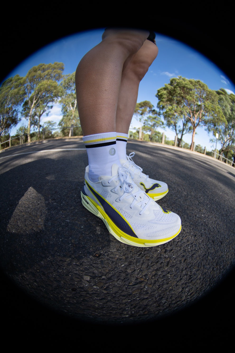 【SHYU 競賽跑襪】專為 Puma 碳板鞋設計｜white | black | honey 台灣官方合作夥伴